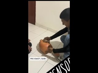 clip @videfunny | @videfunny