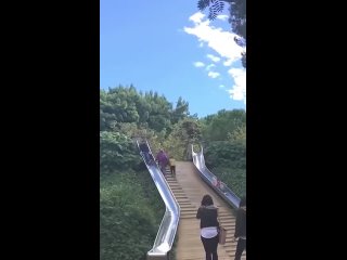 this classic female life hack does not understand you | @videfunny