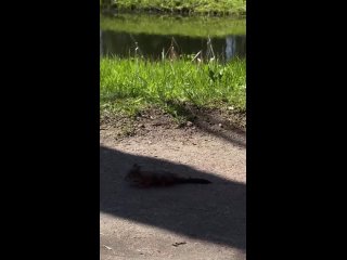 video from @videfunny | @videfunny