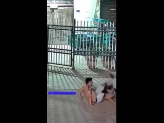 super humor | @videfunny
