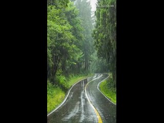 video by hiram armenta
