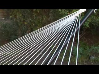 video by semen slepakov