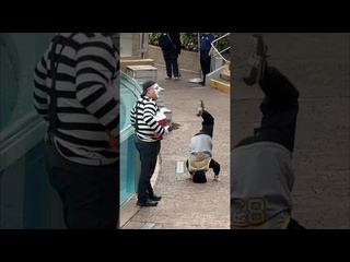 he did not expect that tom mime seaworld seaworldmime funny tomthemime shorts - [eryka travel]
