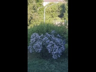 clip @videfunny | @videfunny