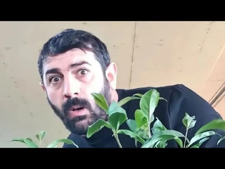 comedy funny funny new funny videos 2025 - [azdelicokkomedi61]
