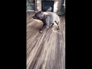 unexpectedly | @videfunny