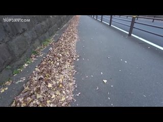 aiav-026 [sss amateur
