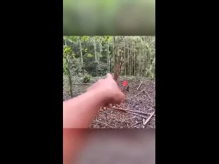 vine video | @videfunny